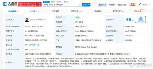 億咖通湖北公司完成大幅增資，加速互聯(lián)網(wǎng)技術(shù)開發(fā)布局